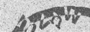Text CAPTCHA sample 7